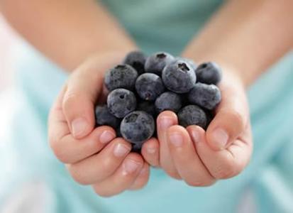 蓝莓