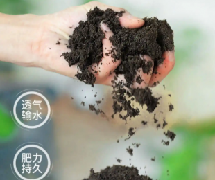 虫粪可以当花肥使用嘛