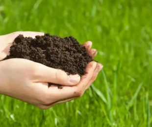 哪种有机肥好用